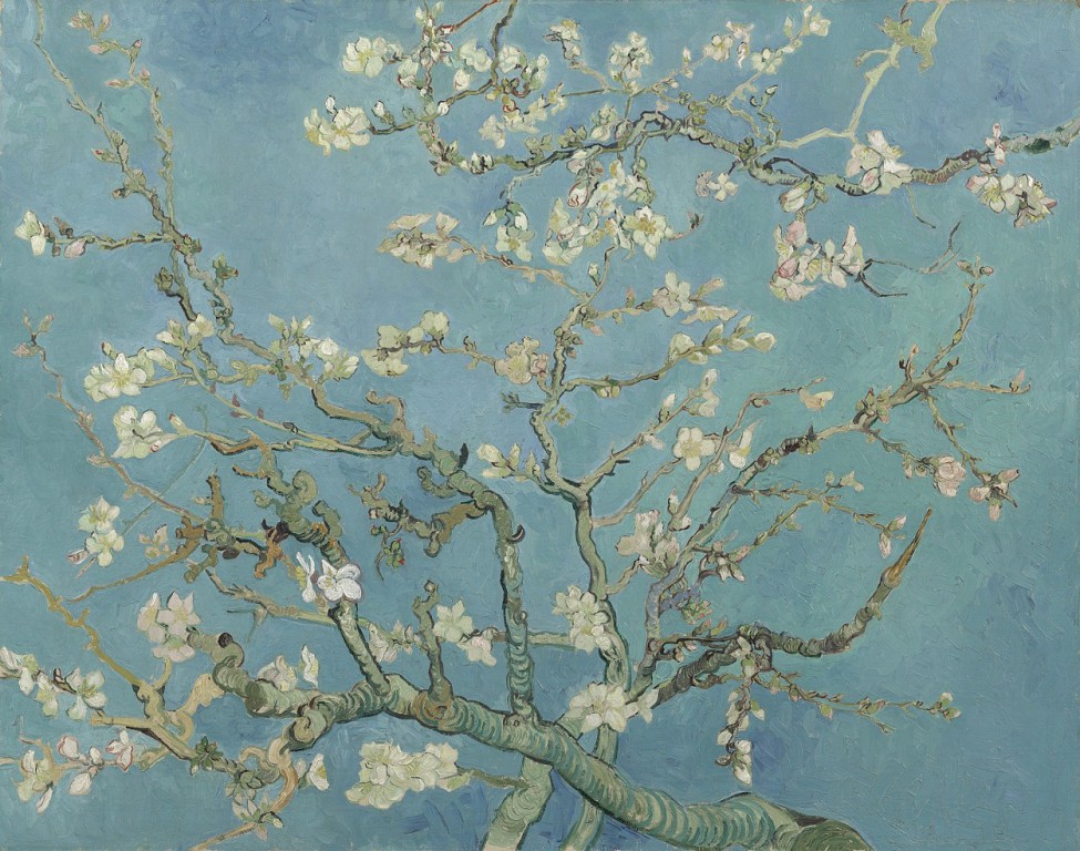 Amendoeiras em flor - Vincent Van Gogh (fevereiro 1890).JPG